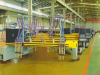 Многоголовочная Машина Прямой Газовой Резки CG4000/6000